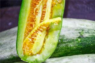 吃瓜视频的网红,揭秘吃瓜视频网红的爆红之路 第3张 吃瓜视频的网红,揭秘吃瓜视频网红的爆红之路 第3张