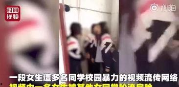 女子爆料的视频大全,揭秘生活百态,直击社会热点 第3张 女子爆料的视频大全,揭秘生活百态,直击社会热点 第3张